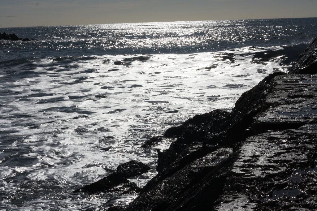 la mer en contre jour